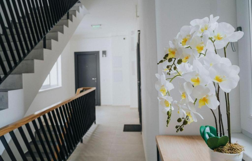 Charlotte Piata Unirii - Free Private Parking 2Bedrooms Apartment Oradea Ngoại thất bức ảnh